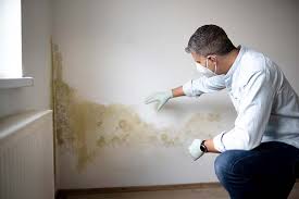 Mold Odor Removal Services in Fayetteville, NY